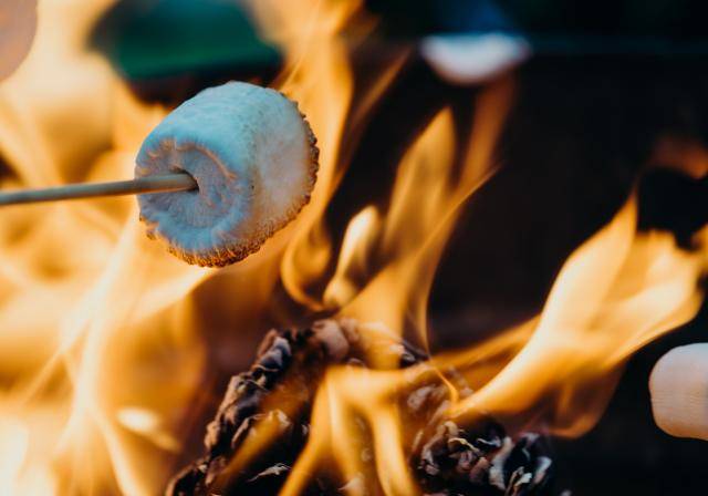 Barbecuing a marshmallow to make a s’more. Photo by Leon Contreras on Unsplash